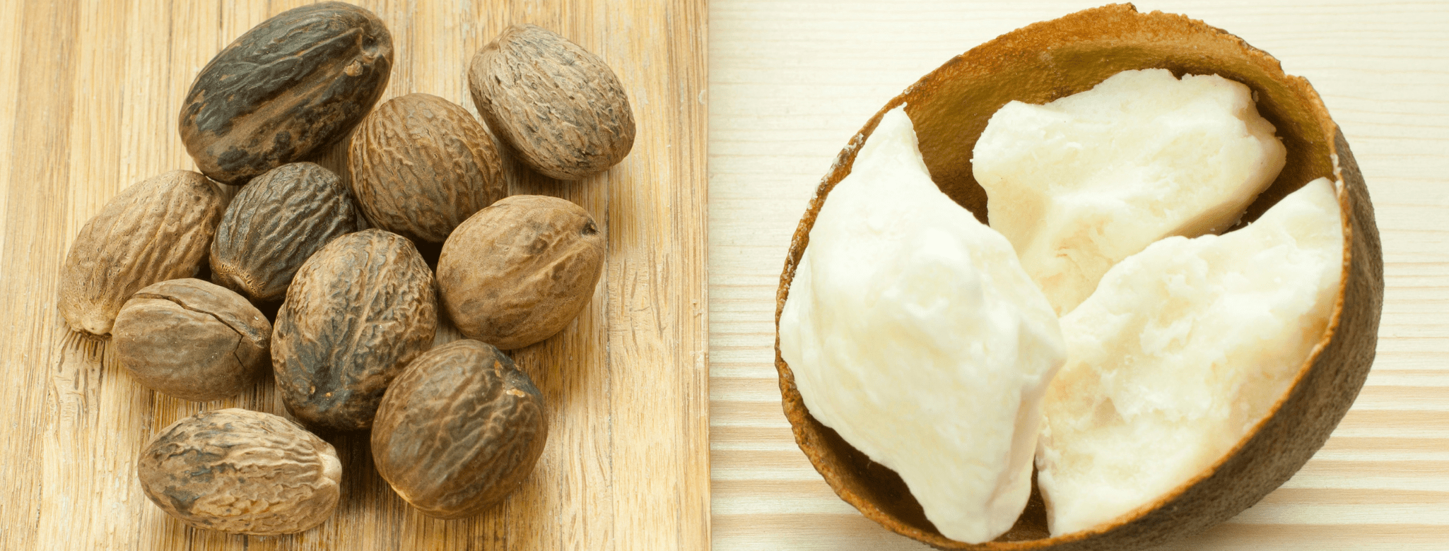 Máslovník africký a jeho plod. Vitelaria paradoxa. Původ bambuckého másla.