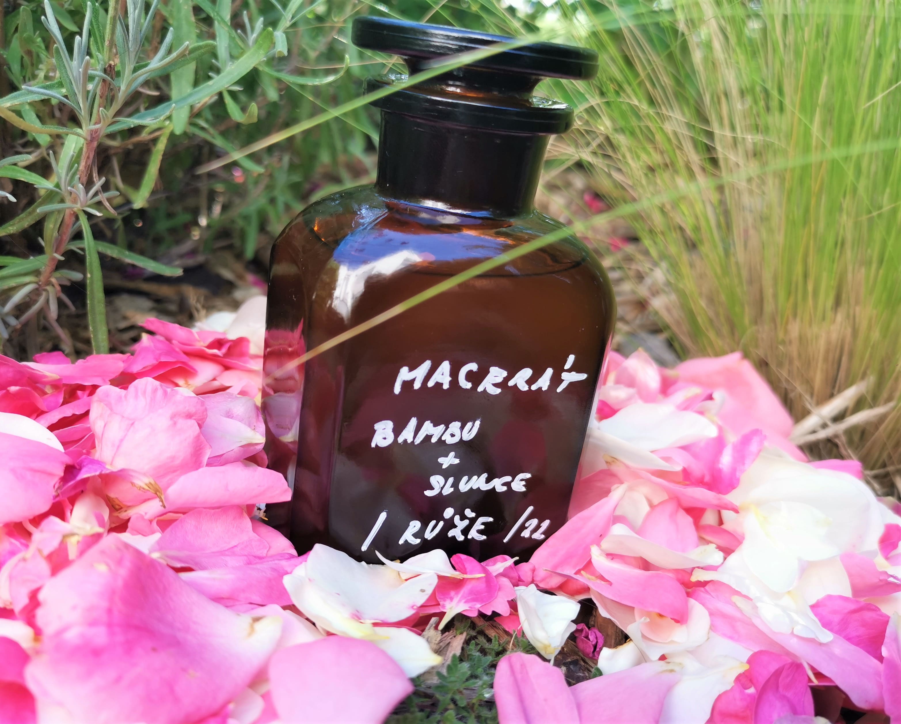 jak uchovávat bylinky