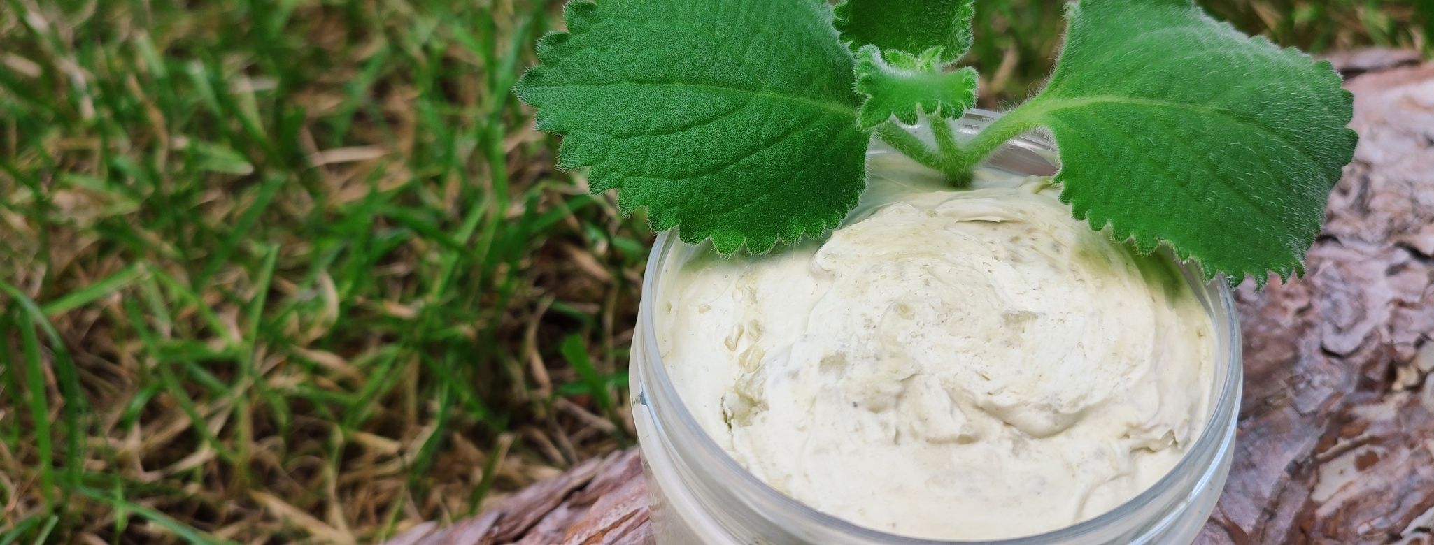 mast z rýmovníku recept